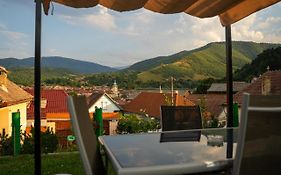 Apartament Panoramic La Casa In Comuna Rasinari