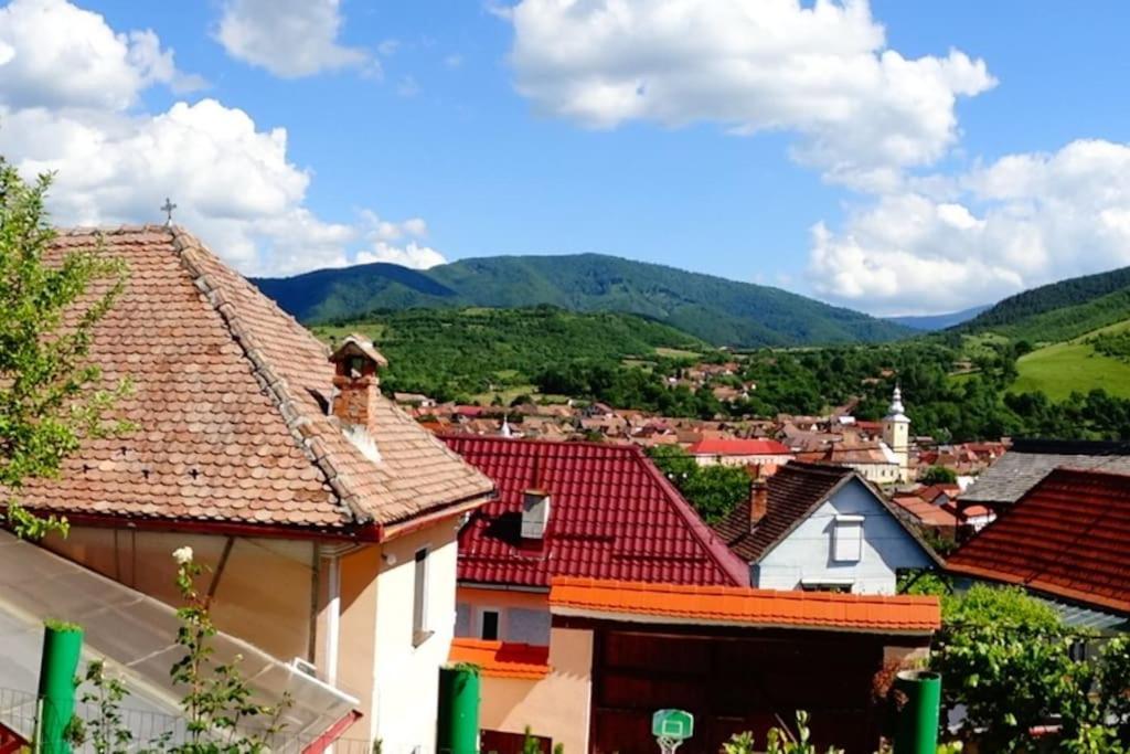 Apartament Panoramic La Casa In Comuna Răşinari Exterior foto