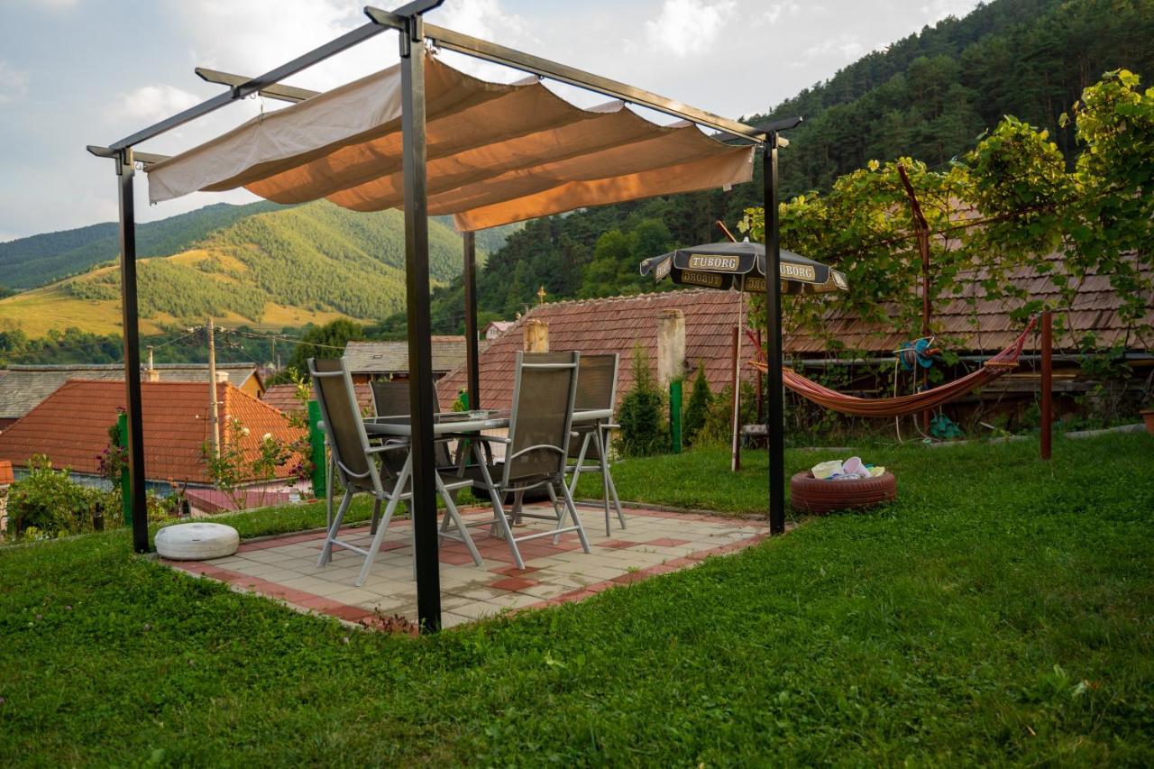 Apartament Panoramic La Casa In Comuna Răşinari Exterior foto
