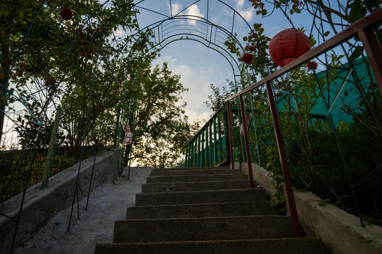 Apartament Panoramic La Casa In Comuna Răşinari Exterior foto