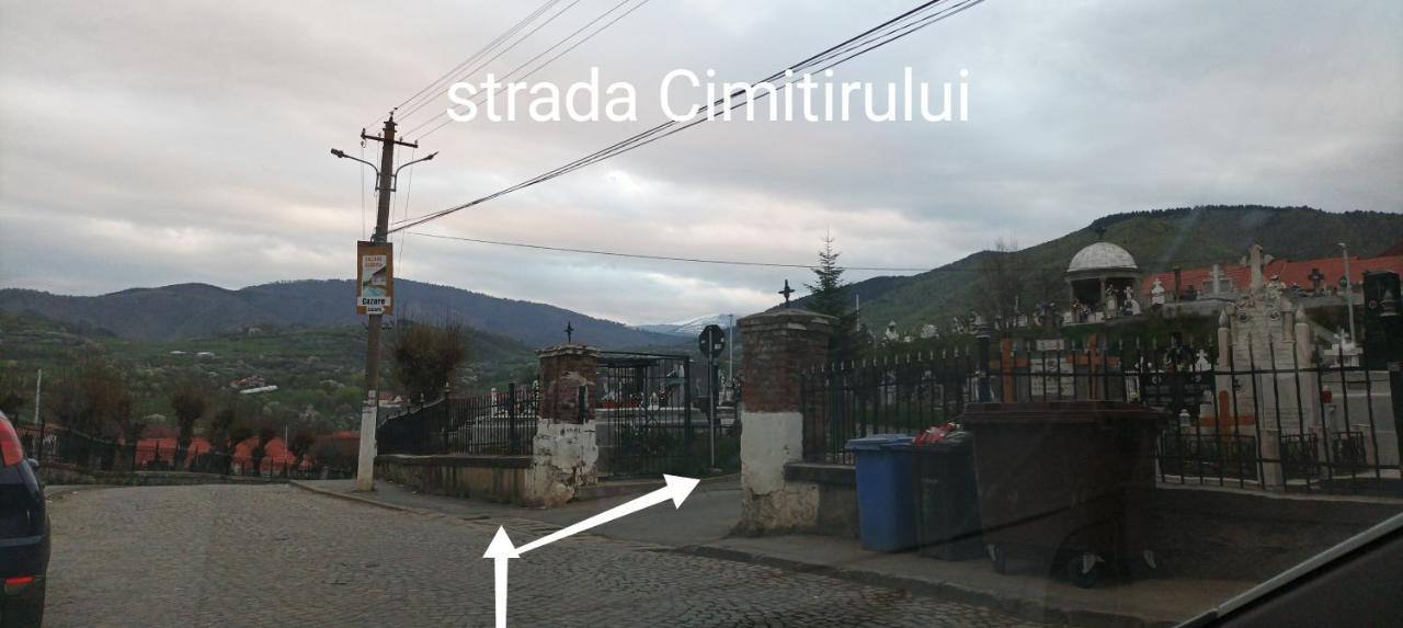 Apartament Panoramic La Casa In Comuna Răşinari Exterior foto